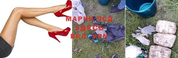 стаф Медногорск