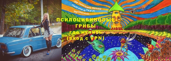 a pvp Михайлов