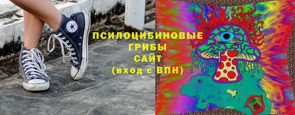 индика Иннополис