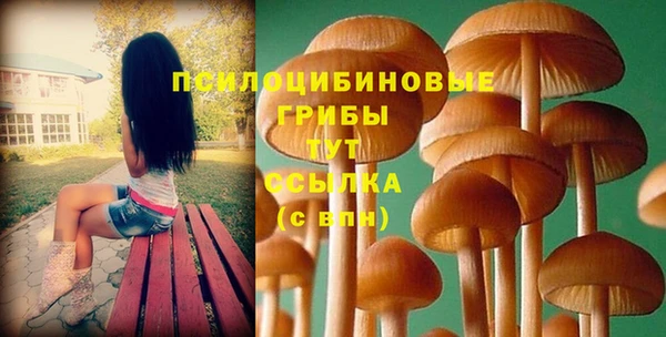 молекула духа Михайловск