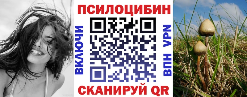 Псилоцибиновые грибы Psilocybe  даркнет сайт  Карпинск 