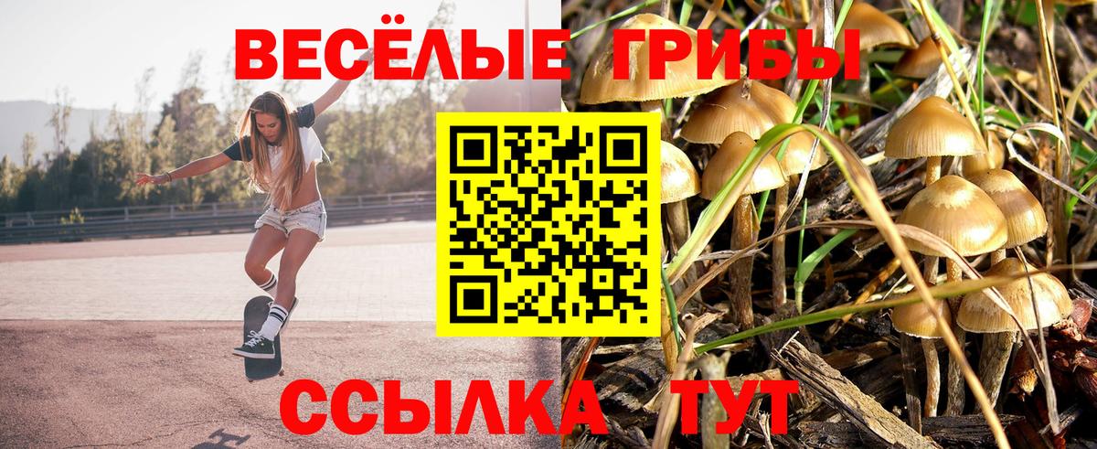 Галлюциногенные грибы Psilocybine cubensis Карпинск