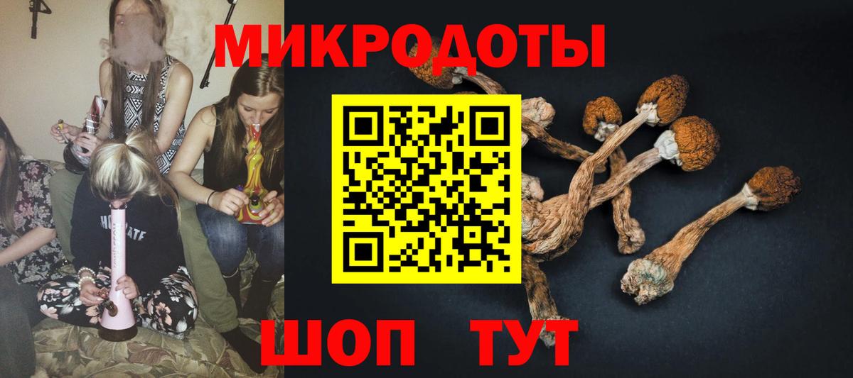 Псилоцибиновые грибы GOLDEN TEACHER  Псилоцибиновые грибы Cubensis  Вход с VPN  Карпинск 